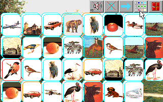 Magiczne Karty (DOS) screenshot: Organize pictures