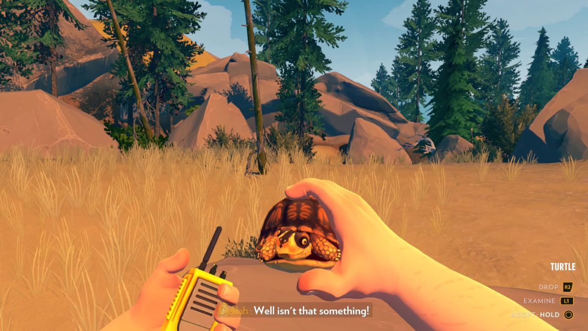 Firewatch (PlayStation 4) screenshot: Turt Reynolds, my newest companion