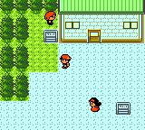 Pokémon Gold Version (Game Boy Color) screenshot: Strange colors...