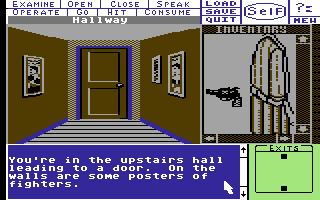 Deja Vu: A Nightmare Comes True!! (Commodore 64) screenshot: Upstairs hall.