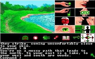 Tass Times in Tonetown (Amiga) screenshot: Path near water.