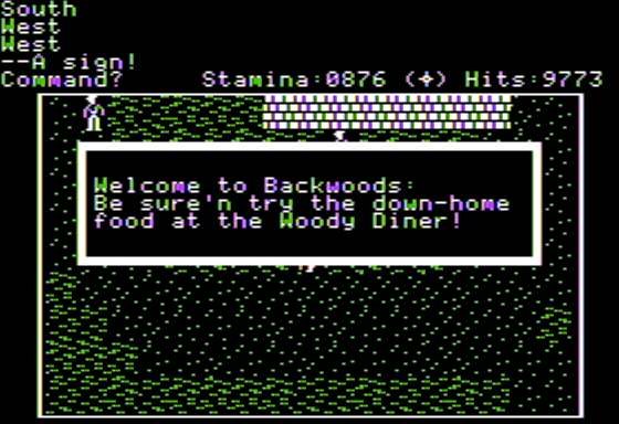 Wrath of Denethenor (Apple II) screenshot: Backwoods