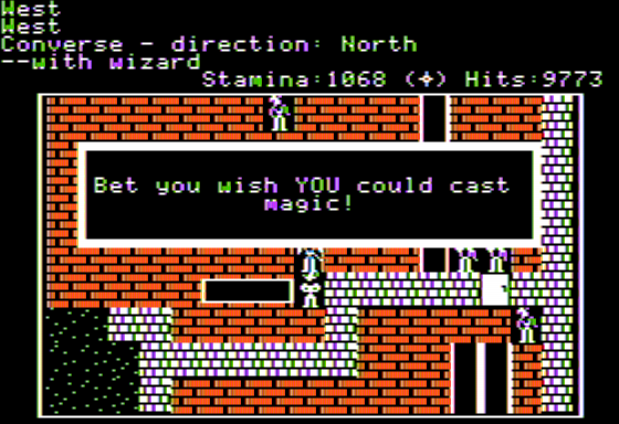 Wrath of Denethenor (Apple II) screenshot: Conversation with a Wizard