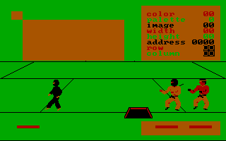 Ninja (DOS) screenshot: A weird bug (CGA)