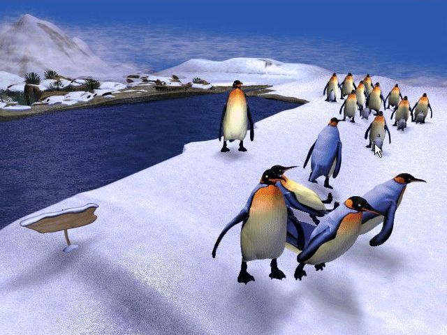 penguin typing game