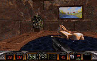 Duke Nukem's Penthouse Paradise (DOS) screenshot: ...and another