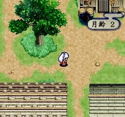 Inuyasha (PlayStation) screenshot: You can walk or run during exploration