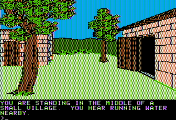 Dark Lord (Apple II) screenshot: Inside a Village