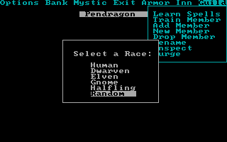 Phantasie III: The Wrath of Nikademus (DOS) screenshot: Generating a new character.
