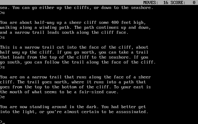 Castle Elsinore (DOS) screenshot: Is it grue-time now?