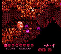Zombie Nation (NES) screenshot: Bats everywhere