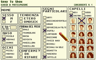 Late Night Sexy TV Show (DOS) screenshot: Fill in this form to describe the player's name, age, looks and sexual orientation.