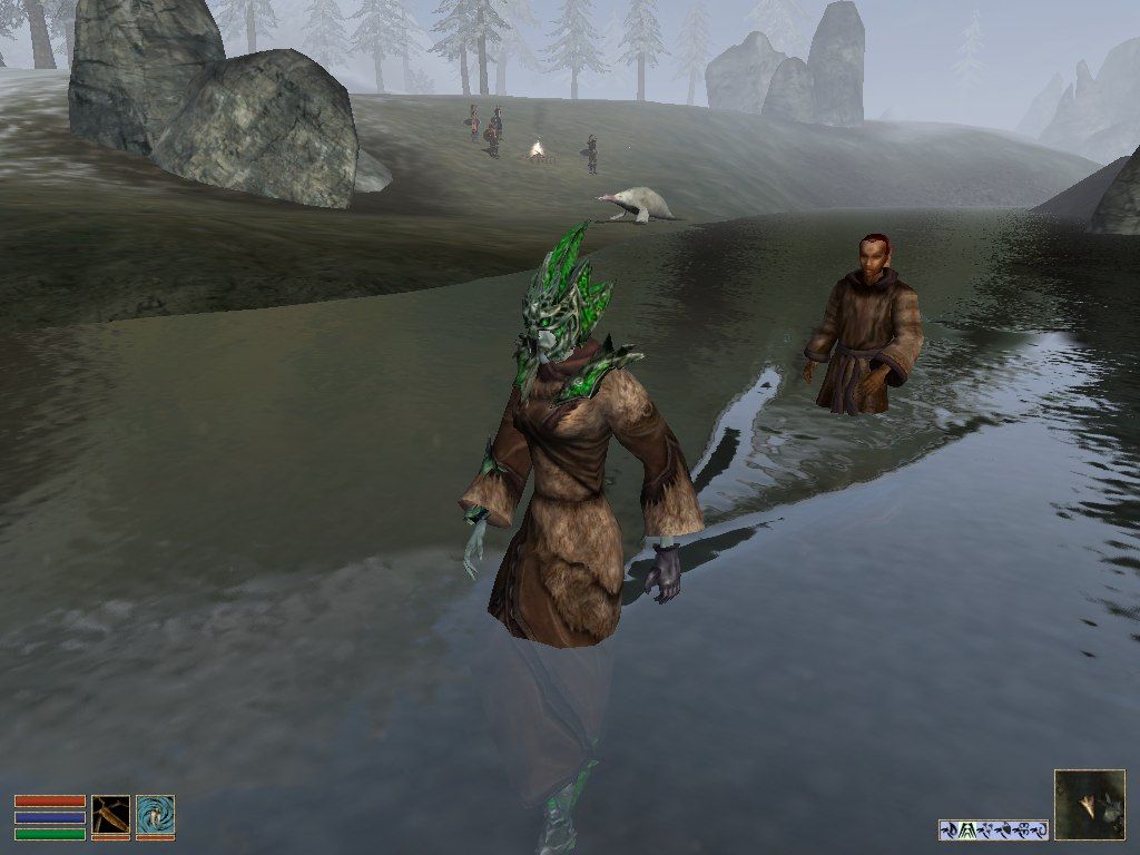 The Elder Scrolls III: Bloodmoon (Windows) screenshot: Once again, an escort mission. Except this time, there are walruses frolicking in the background.
