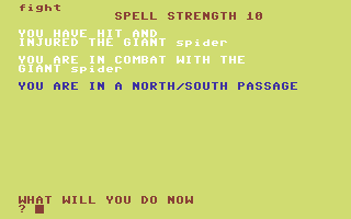 Velnor's Lair (Commodore 64) screenshot: Fighting back.