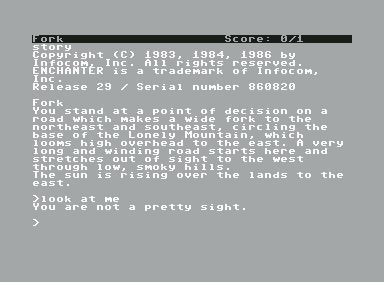 Enchanter (Commodore 64) screenshot: You're at the starting location and not a pretty sight.