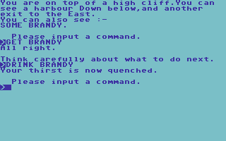 Mystery Voyage (Commodore 64) screenshot: Having some Brandy.
