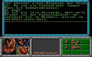 Dragonflight (DOS) screenshot: You can enter most houses. In some of them, you'll have such non-interactive conversations