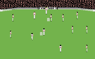 Ian Botham's Test Match (Commodore 16, Plus/4) screenshot: Coming into bowl.