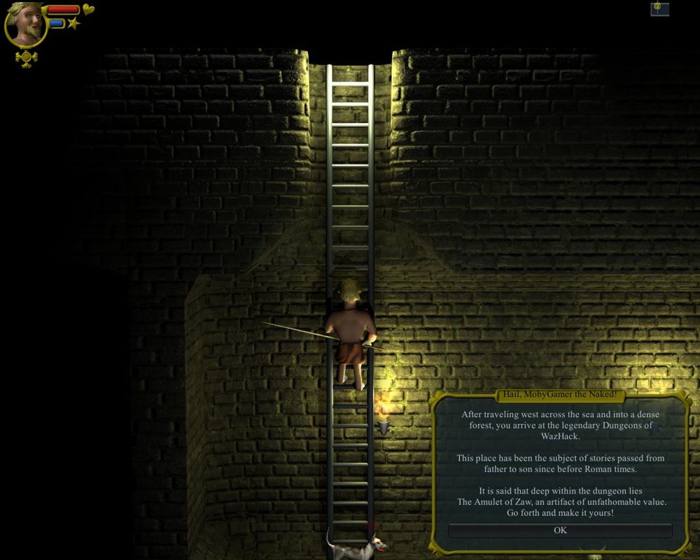 WazHack (Windows) screenshot: Game start - Climbing down the ladder and a short text intro.