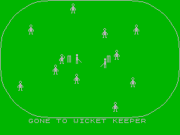 Howzat! (ZX Spectrum) screenshot: No chance to score off that one