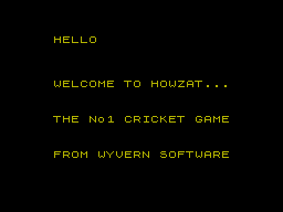 Howzat! (ZX Spectrum) screenshot: First in a field of one?
