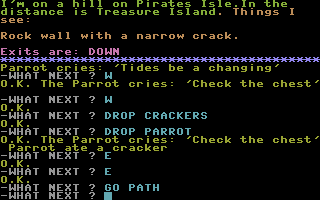 Pirate Adventure (Commodore 16, Plus/4) screenshot: Stood on a hill.