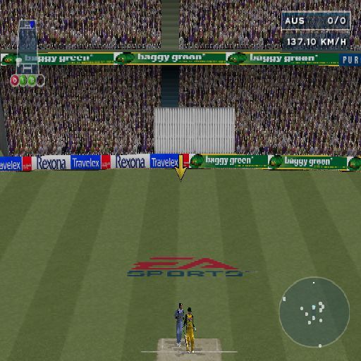 Cricket 2004 (PlayStation 2) screenshot: The yellow arrow is an optional aid, it shows where the ball is.