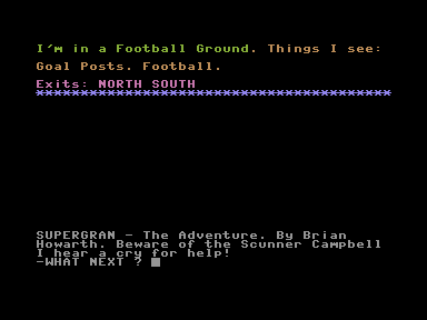Super Gran: The Adventure (Commodore 16, Plus/4) screenshot: Start of your adventure.