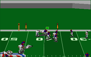 Front Page Sports: Football Pro '95 (DOS) screenshot: 40 yards