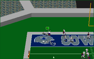 Front Page Sports: Football Pro '95 (DOS) screenshot: Touchdown in action