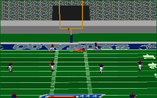 Front Page Sports: Football Pro '95 (DOS) screenshot: The ball is almost near the gates