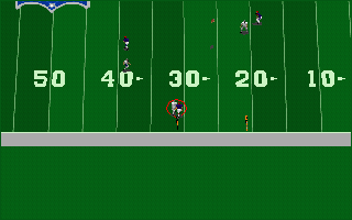 Front Page Sports: Football Pro '95 (DOS) screenshot: The ball should reach the team member