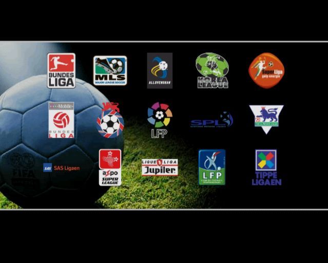 FIFA Soccer 2004 (PlayStation 2) screenshot: These are the fifteen leagues. In addition to these there are other divisions, for example the FA league has the Premier League, and divisions one, two, and three