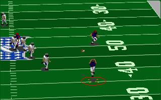 Front Page Sports: Football Pro '95 (DOS) screenshot: Jump should help to catch a ball