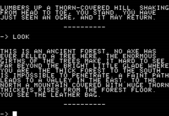 Forbidden Castle (Apple II) screenshot: Looking About the Ancient Forest