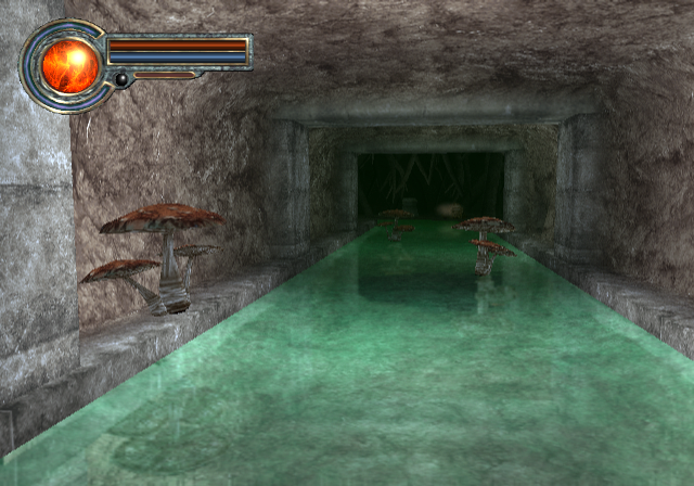 King's Field: The Ancient City (PlayStation 2) screenshot: Poisonous waters and mutant mushrooms - another day with King's Field!