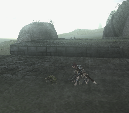 Shadow of the Colossus (PlayStation 2) screenshot: You kneel near a turtle and attempt to have some sort of meaningful contact