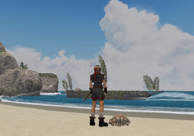 Suikoden IV (PlayStation 2) screenshot: Abandoned island. A turtle comes close to you and hides its head and paws into the armor...