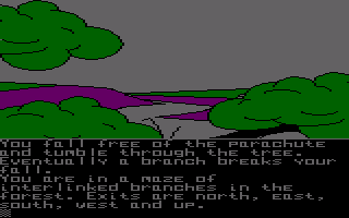Emerald Isle (Amstrad CPC) screenshot: You've freed yourself.