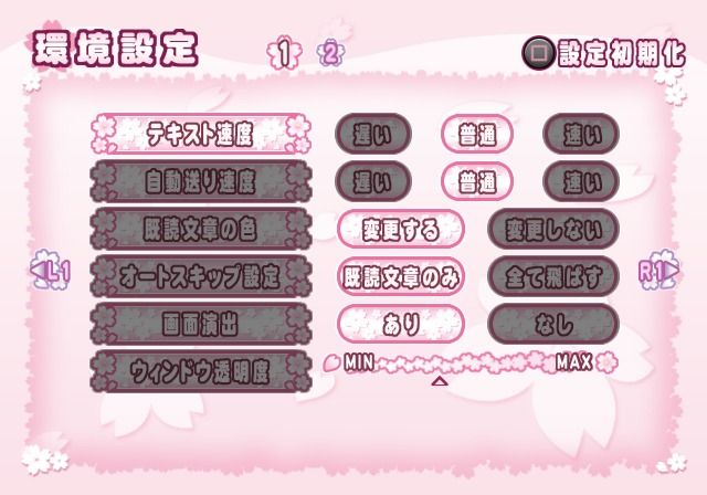 Yumemi Hakusho: Second Dream (PlayStation 2) screenshot: Game options.