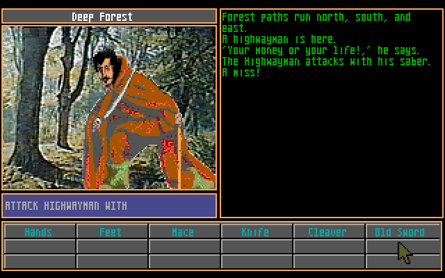Grailquest (DOS) screenshot: Combat!