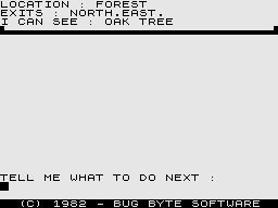 Adventure (ZX81) screenshot: In a forest.