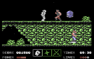 Bionic Ninja (Commodore 64) screenshot: Destroy them.