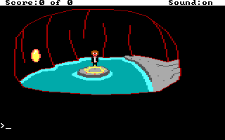The Sorceror's Appraisal (DOS) screenshot: Performing the ritual.