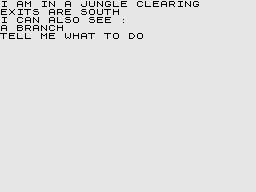 Adventure B (ZX81) screenshot: Start of your adventure.