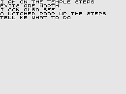 Adventure B (ZX81) screenshot: Outside the temple.