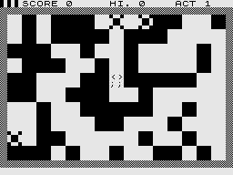 Pengy (ZX81) screenshot: Lets bash them.