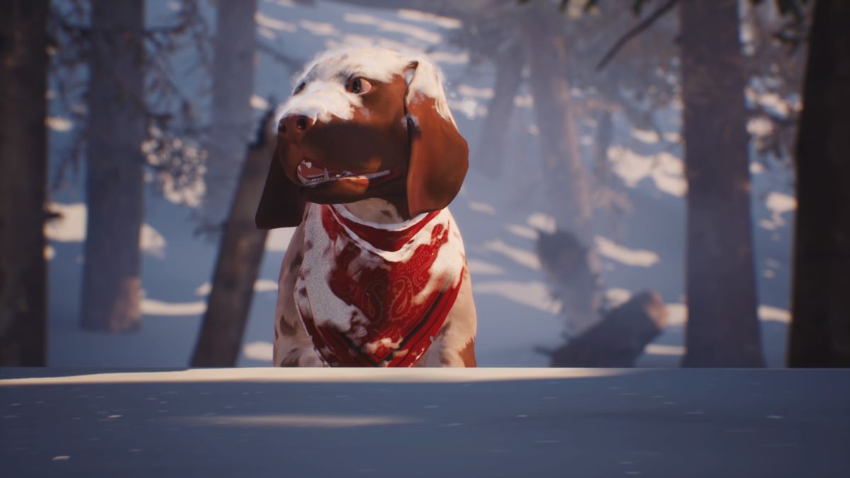 Life Is Strange 2: Episode 2 (PlayStation 4) screenshot: Mushroom, playing in the snow