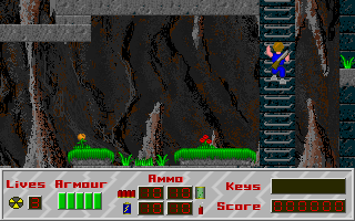 Mutant Earth (DOS) screenshot: Climbing a ladder.
