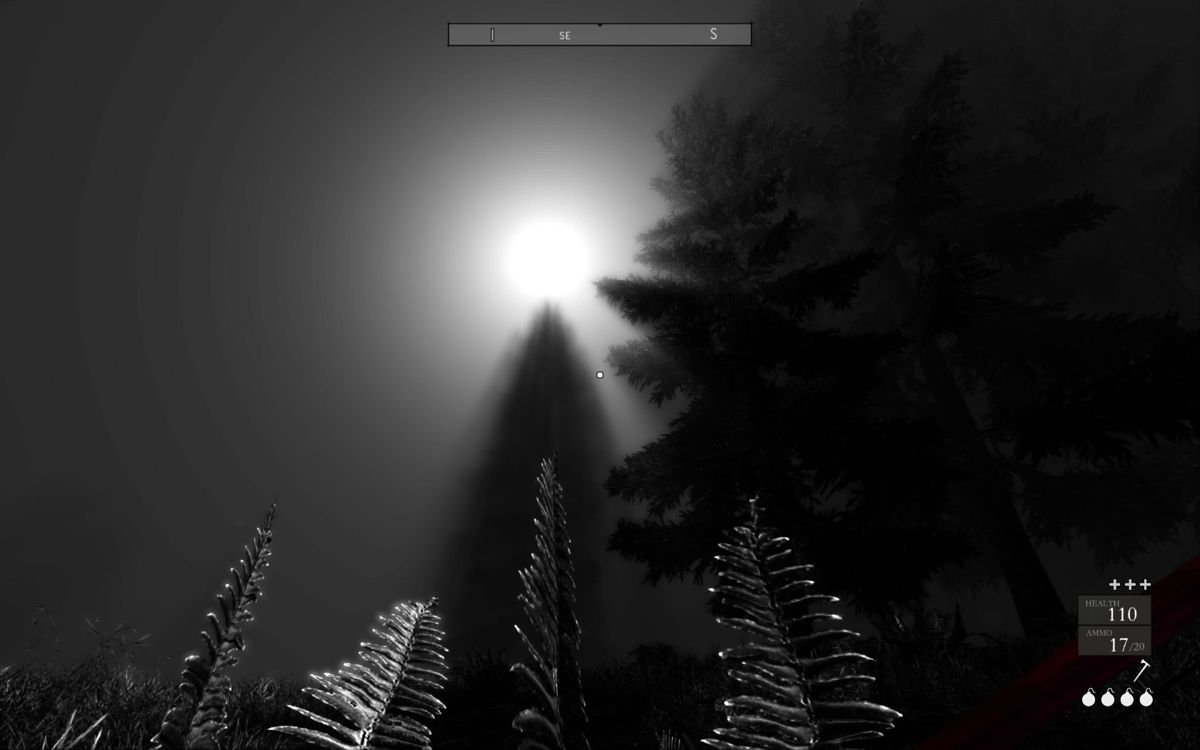 Betrayer (Windows) screenshot: Looking up the sky in the dark world.